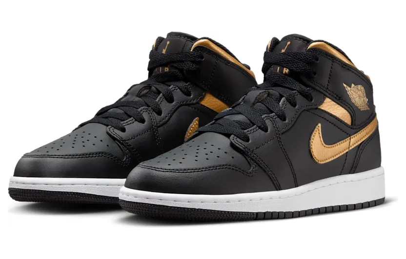 air-jordan-1 DQ8423-071
