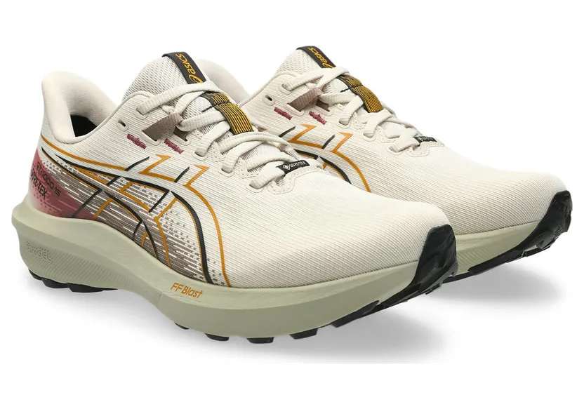 asics-gt-1000 1011C233-250