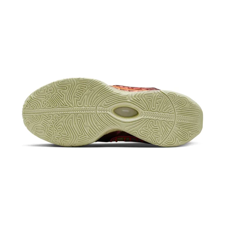 nike-lebron FN0708-800