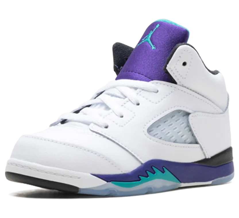 air-jordan-5 HQ7981-100