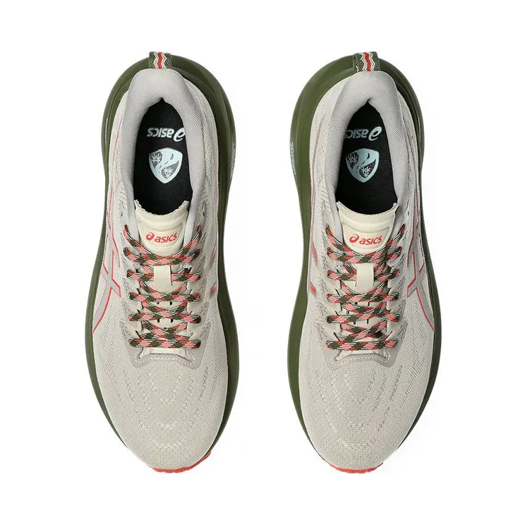 asics-gt-2000-2 1011B954-300