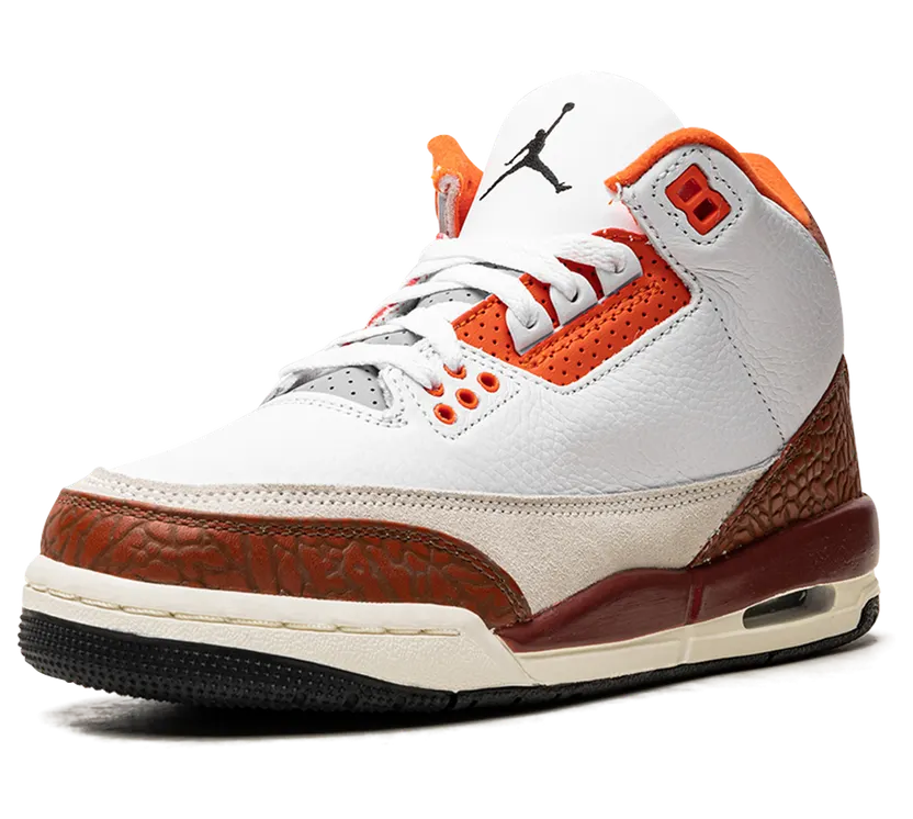 air-jordan-3 DV7028-108
