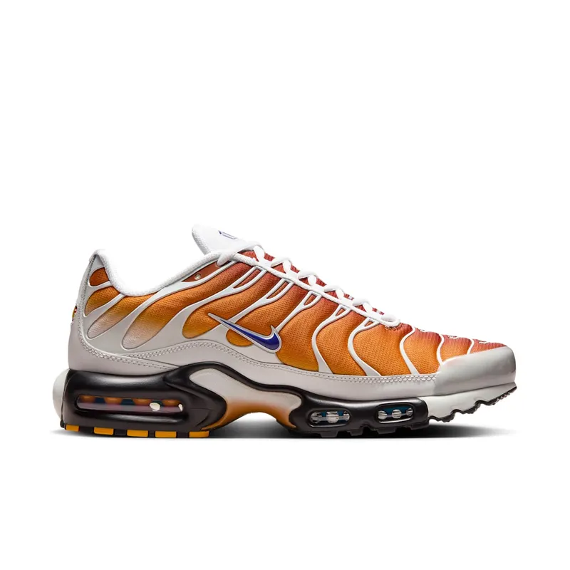 Nike Air Max Plus One Block Down Chutney (FZ3308-700)