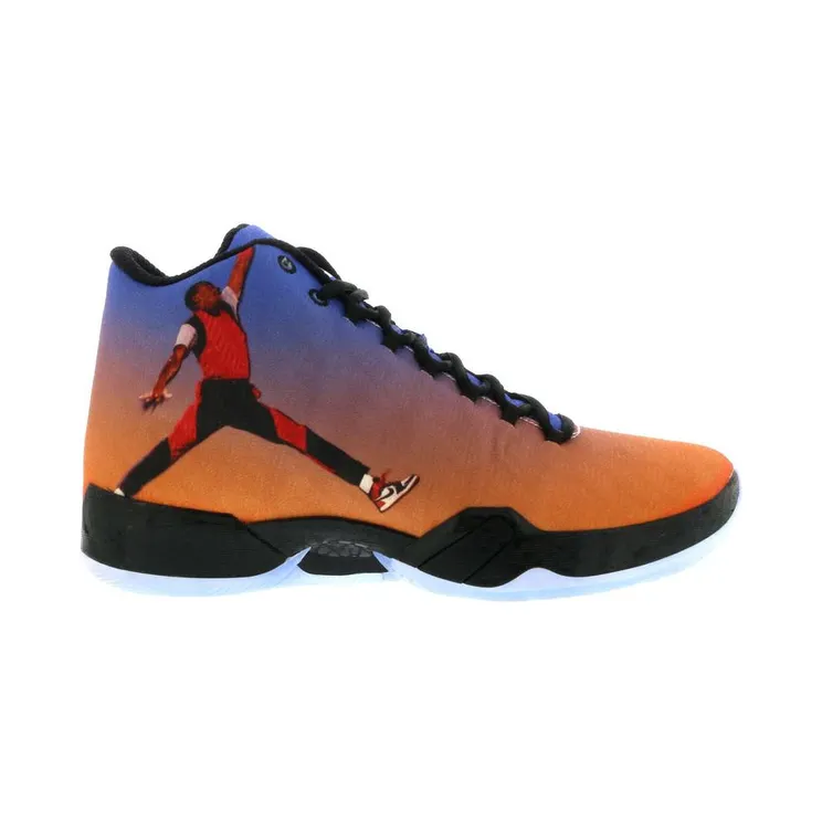 Air Jordan XX9 Photo Reel (695515-806)