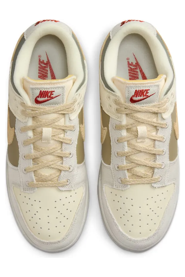 nike-dunk FZ4341-100