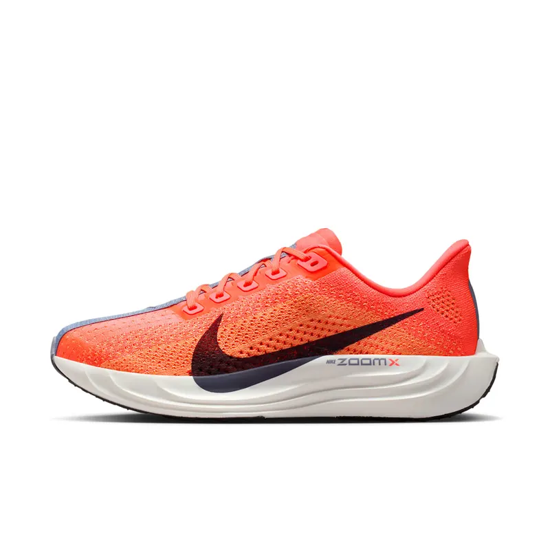 Nike Pegasus Hot Lava/Orange Pulse/Ashen Slate/Dark Raisin (FQ7261-801)