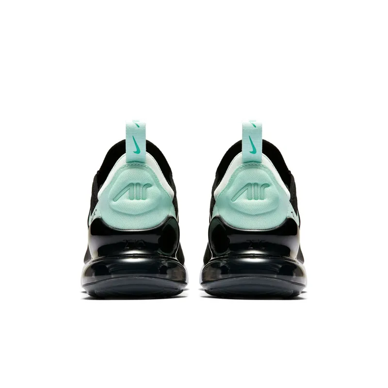Nike Air Max 270 Igloo (W) (AH6789-008)
