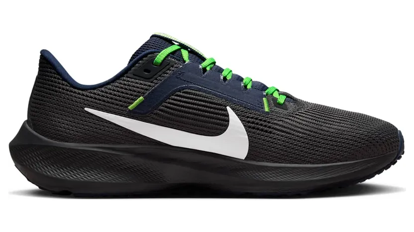 nike-air-pegasus DZ6007-001
