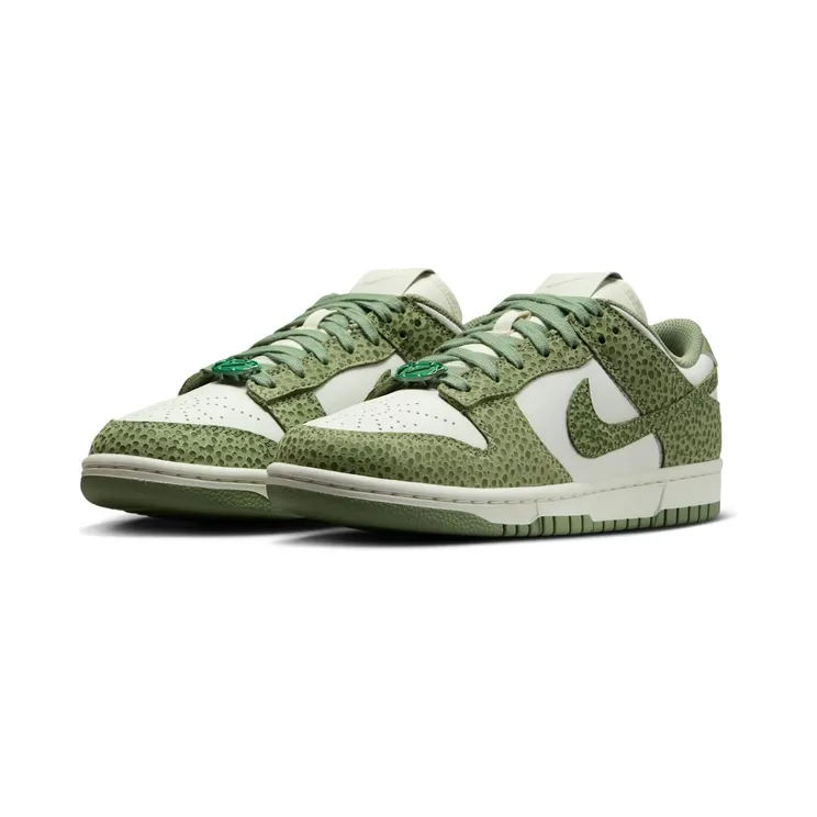 nike-dunk FV6516-300