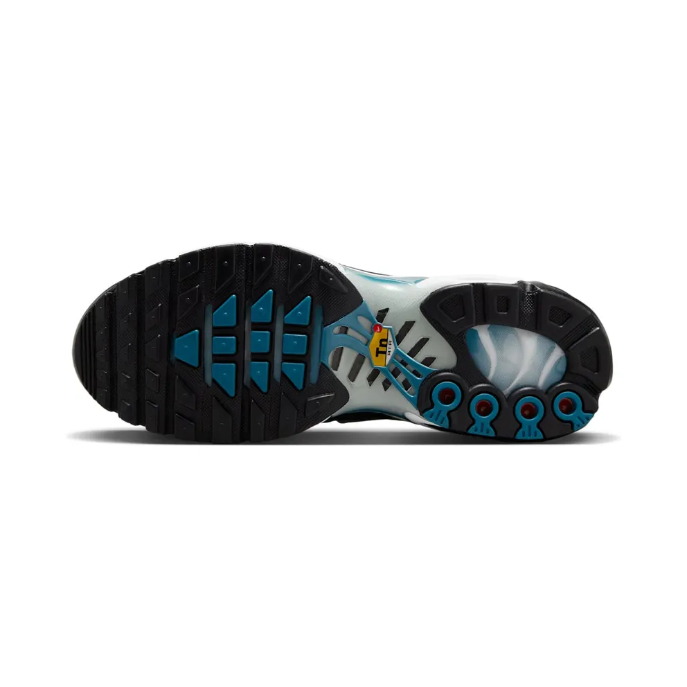 Nike Air Max Plus Dot Pattern Black Dusty Cactus (HV6355-001)