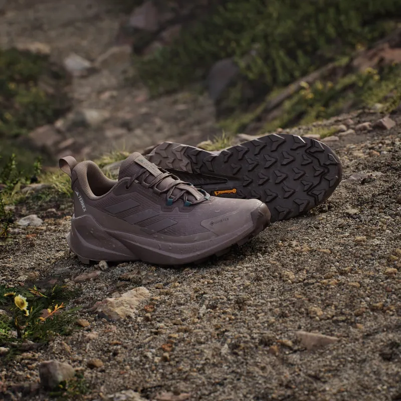 Adidas Terrex Trailmaker 2.0 GORE-TEX Hiking Earth Strata / Trace Brown / Chalky Brown (JQ9947)