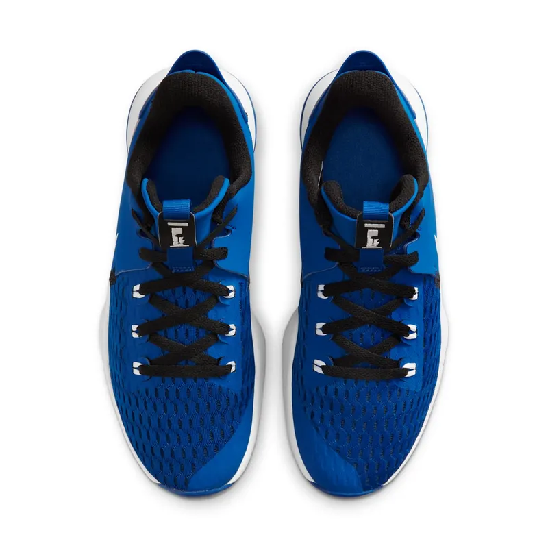 LeBron Witness 5 Blue (CQ9380-400)