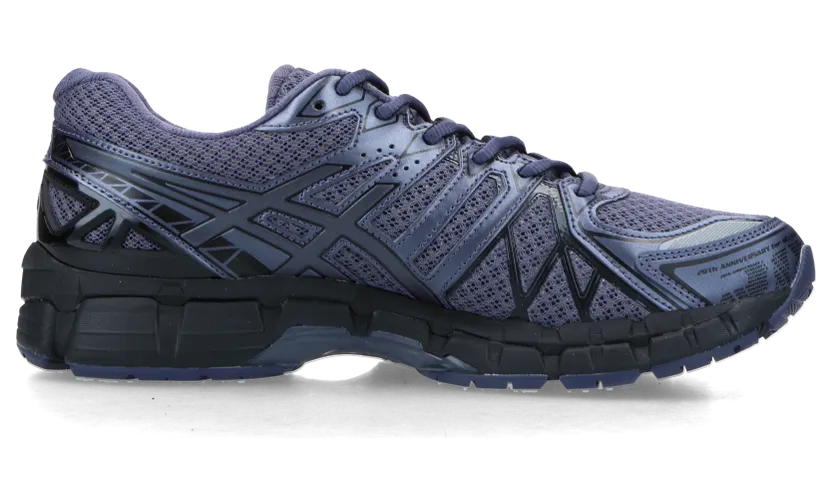 asics-gel-kayano 1203A388-500