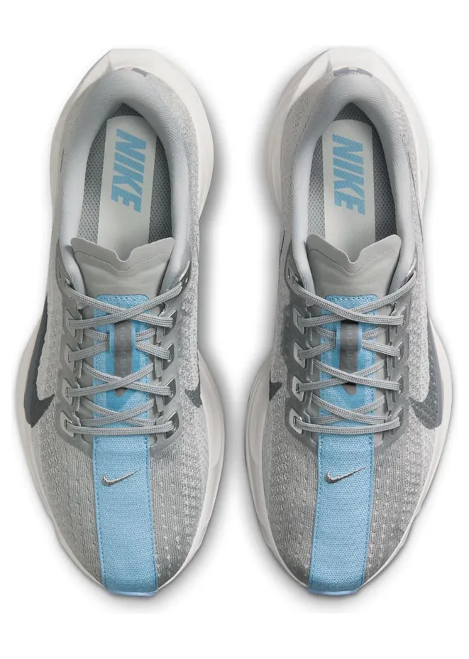 nike-air-pegasus FQ7261-004