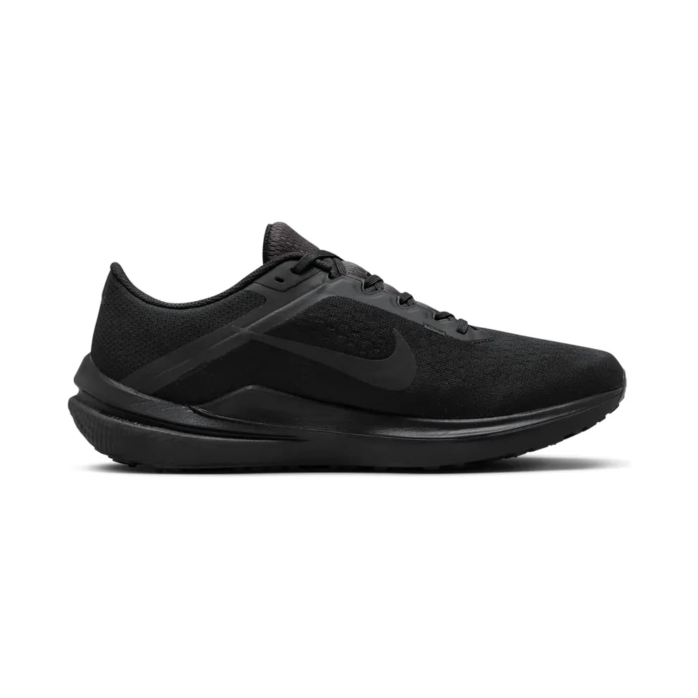 Nike Winflo 10 Black Anthracite (DV4022-001)