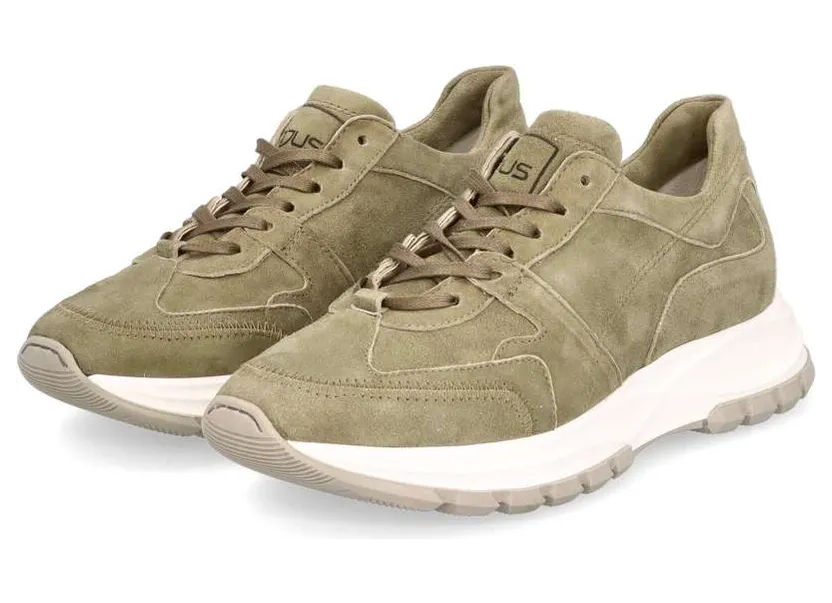 mjus-sneaker P40101.16