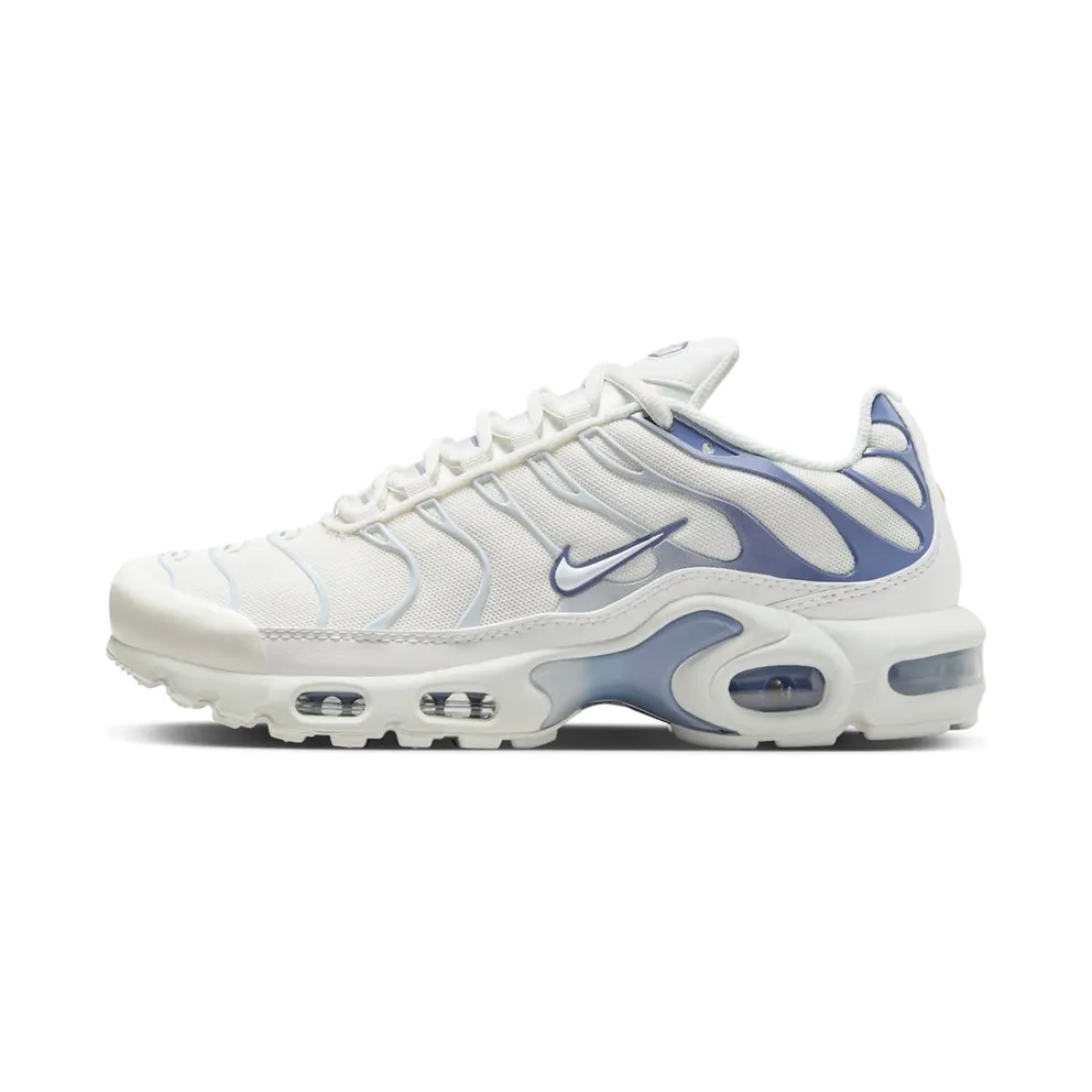 Nike Air Max Plus Ashen Slate (DZ3671-104)
