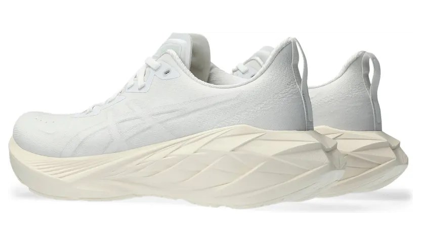 asics-novablast 1011B693-102
