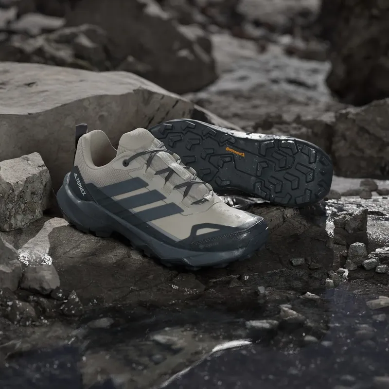 adidas Terrex Skychaser AX5 Gore-Tex Alumina Grey Five Carbon (JQ6725)