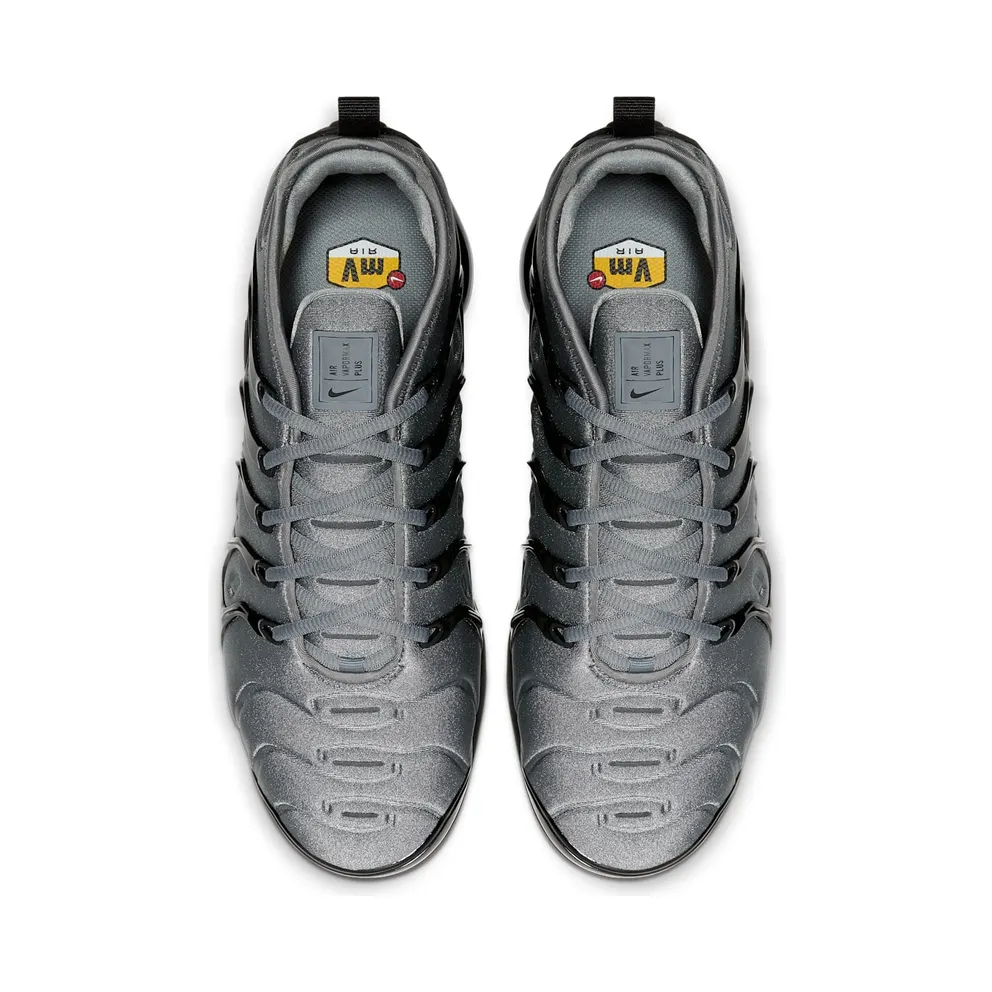 Nike Air VaporMax Plus Grey (CK0900-001)