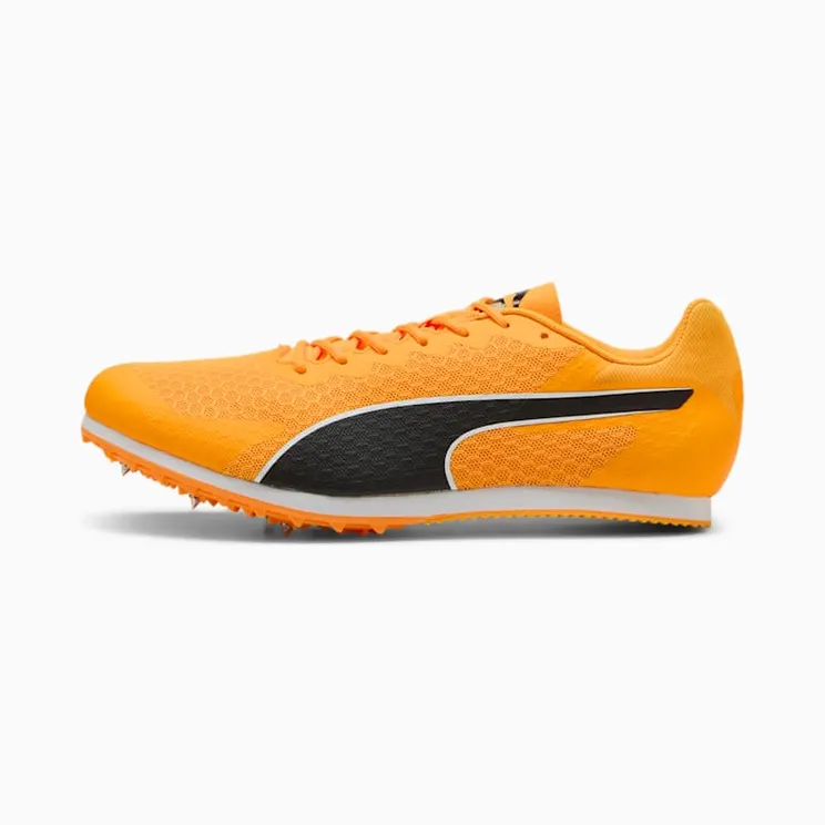 puma-evospeed 311379-03