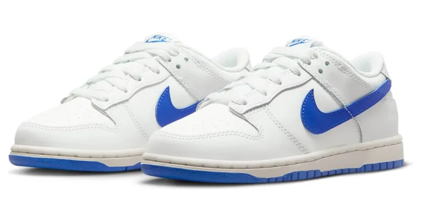 nike-dunk DH9756-105