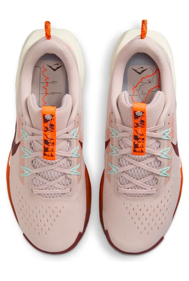 nike-air-pegasus DV3865-602
