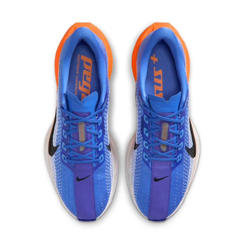 Nike Pegasus Crystal Blue/Hydrogen Blue/Lapis/Off Noir (FQ7262-403)