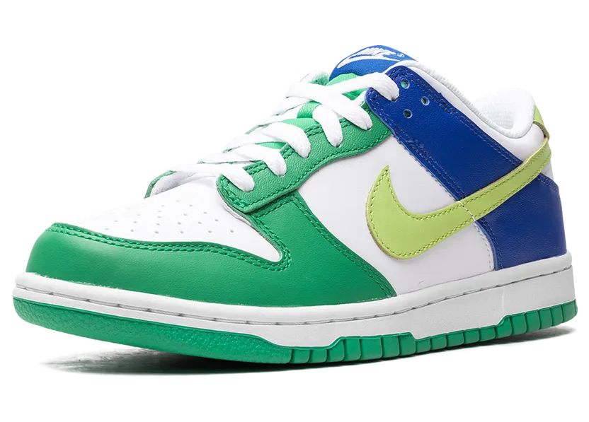 nike-dunk FN6973-100