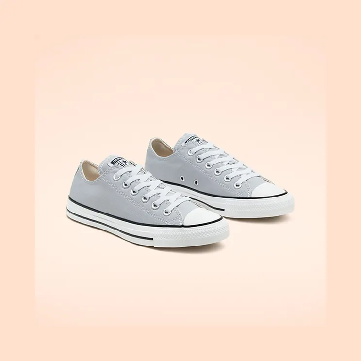 converse-chuck-taylor-all-star 166710C