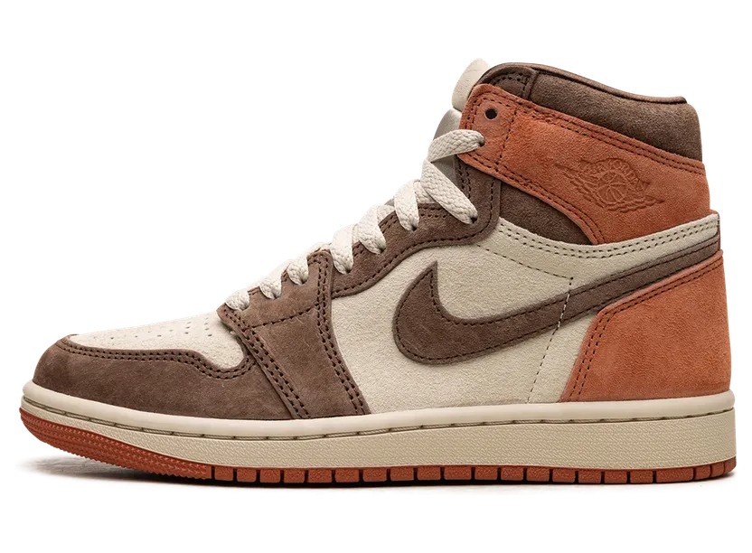 Air Jordan 1 Retro High SP Brown/Sand Drift/Burnt Sunrise/Brown (FQ2941-200)
