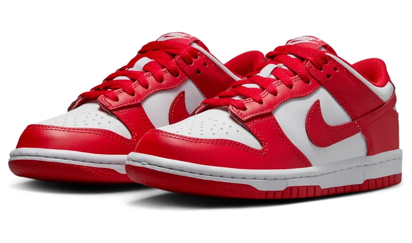 nike-dunk FB9109-119