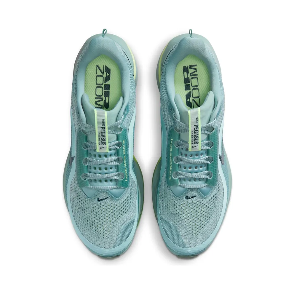 Nike Air Zoom Pegasus Premium Cannon (HQ2592-009)