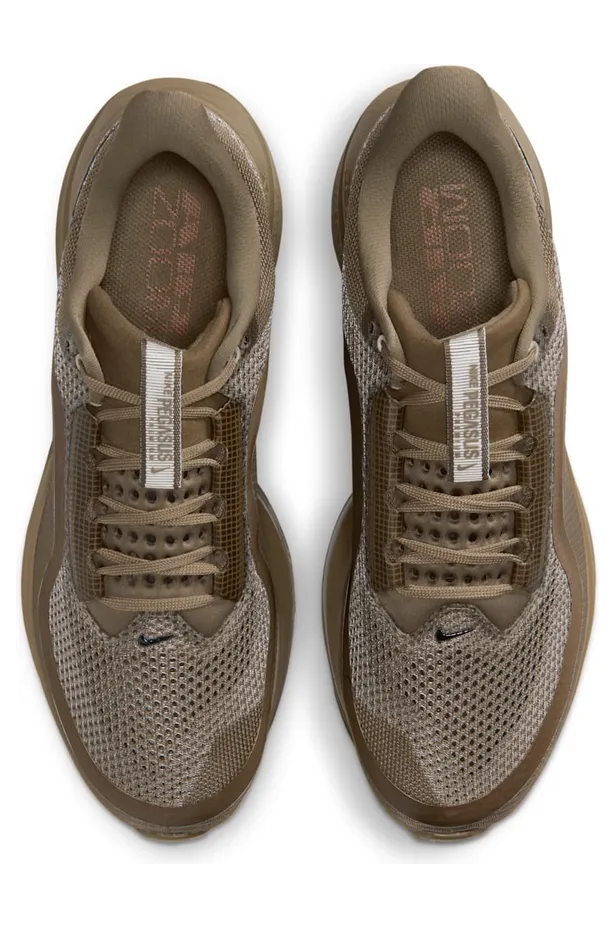 nike-air-pegasus IQ5691-200