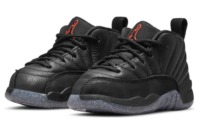 air-jordan-12 DM5206-006