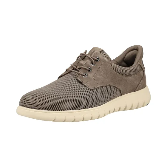 Geox Taupe (16037258199420GRAY)