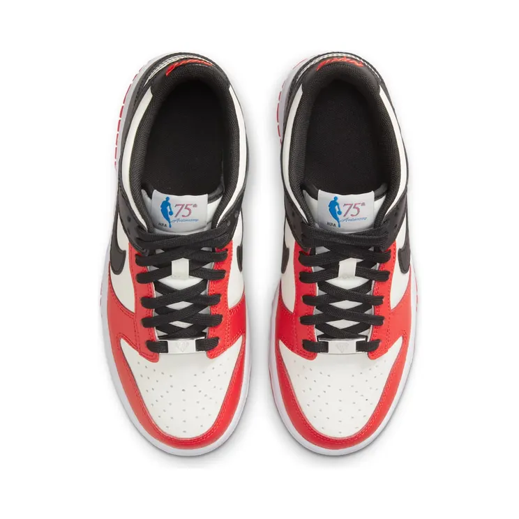 nike-dunk DO6288-100