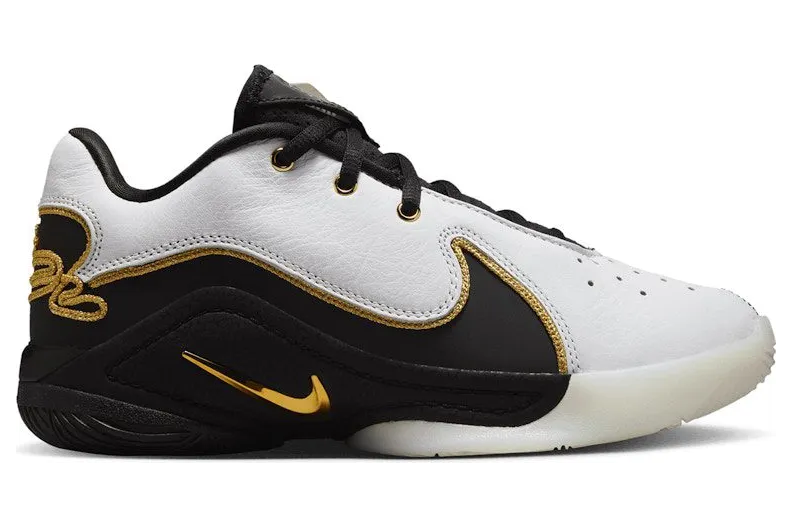 nike-lebron HV8616-100