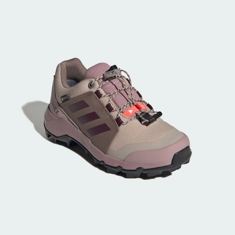 Adidas Terrex GORE-TEX Hiking pink / Maroon / Magic Mauve (KI5837)
