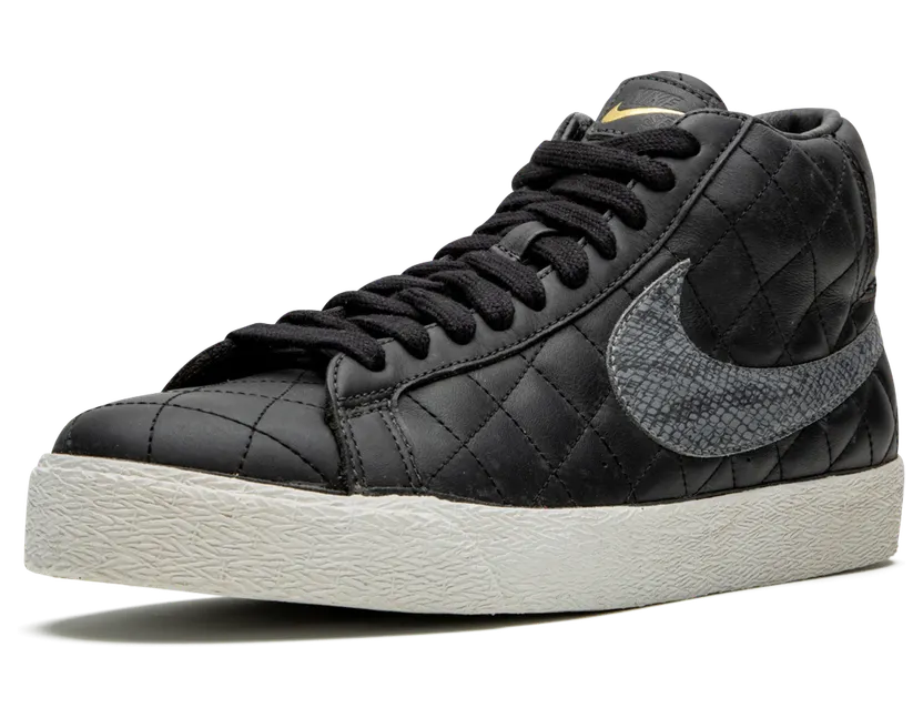 nike-sb 313962-001