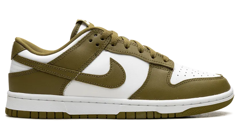 nike-dunk DV0833-105