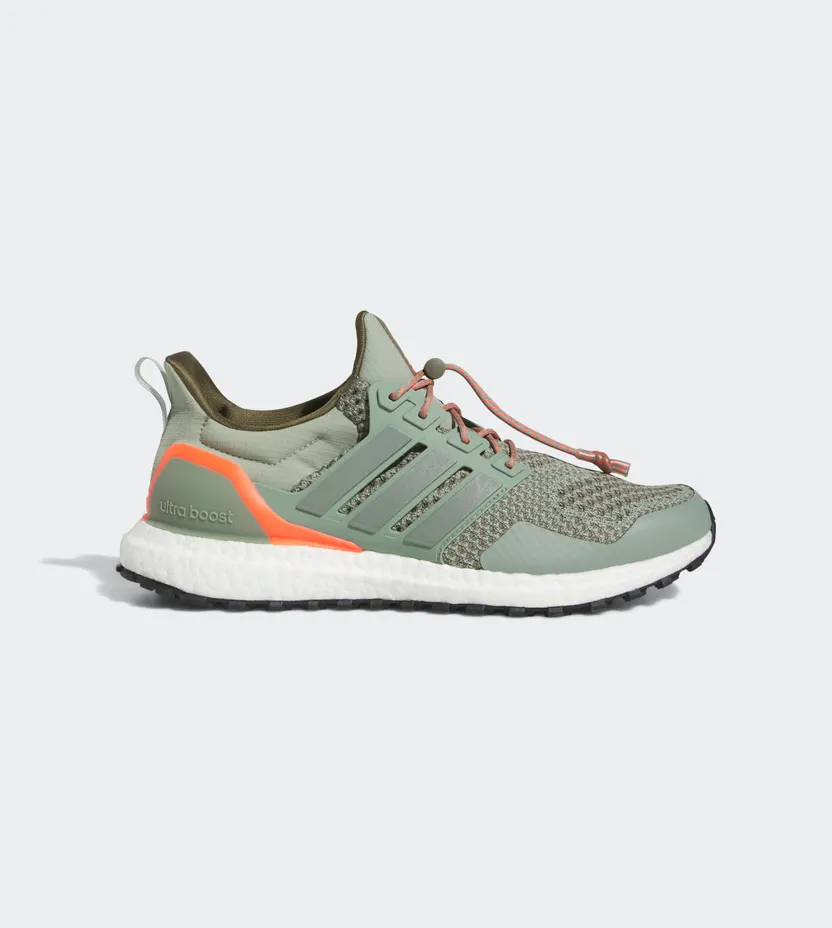 adidas Ultraboost 1.0 Silver Green / Silver Green / Olive Strata (HR0070)