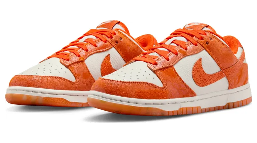 nike-dunk FN7773-001