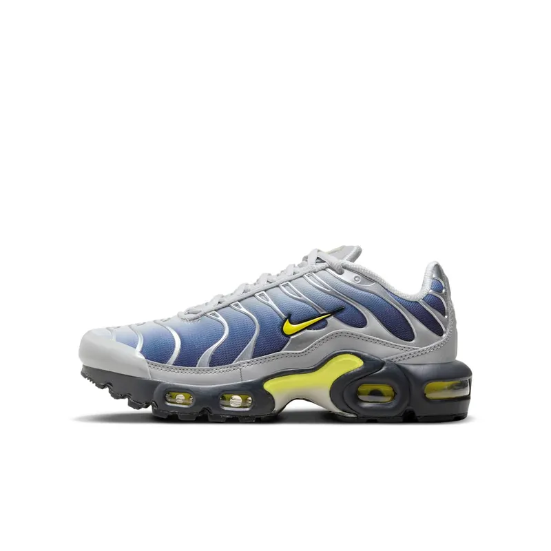 Nike Air Max Plus Obsidian Silver (HF0030-001)