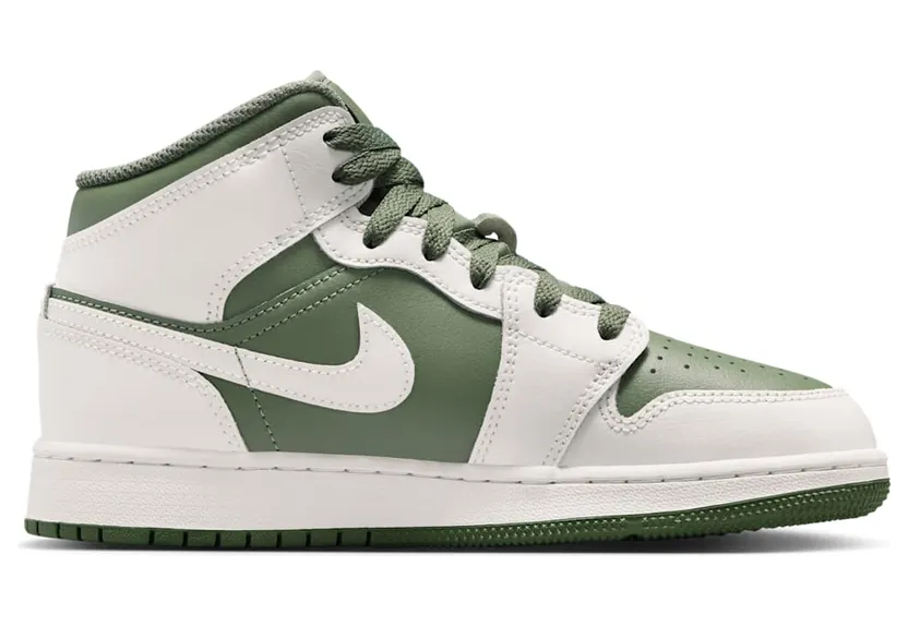 air-jordan-1 DQ8423-107