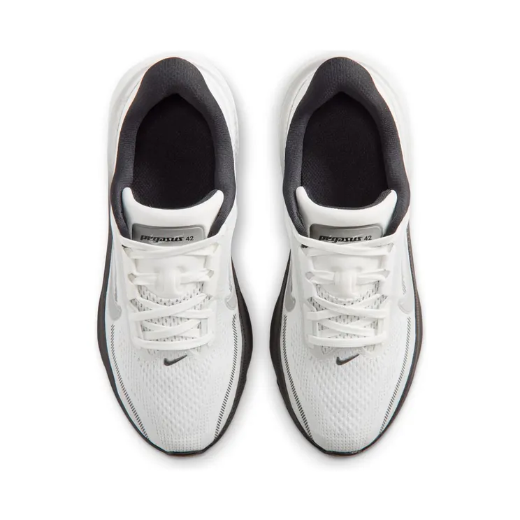 nike-air-pegasus IR4146-100
