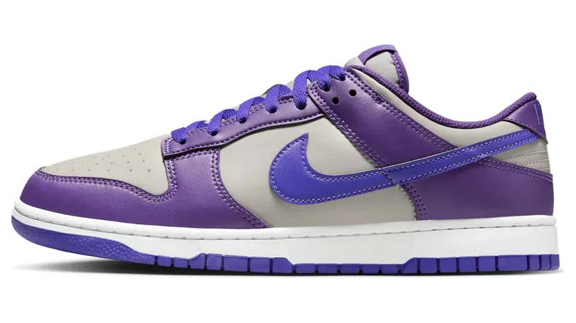 Nike Dunk Low HF5441-005