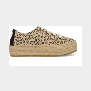 Toms Brown (10016308)