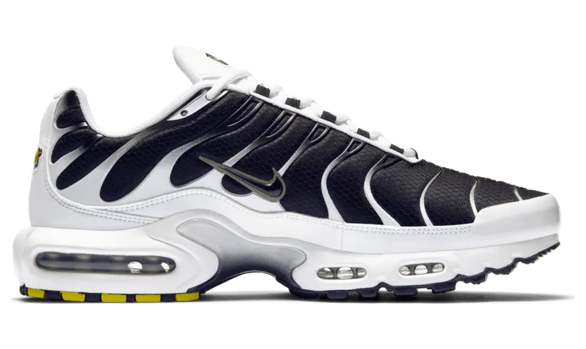 Nike Air Max Plus White Black Metallic Pewter (CT1094-102)