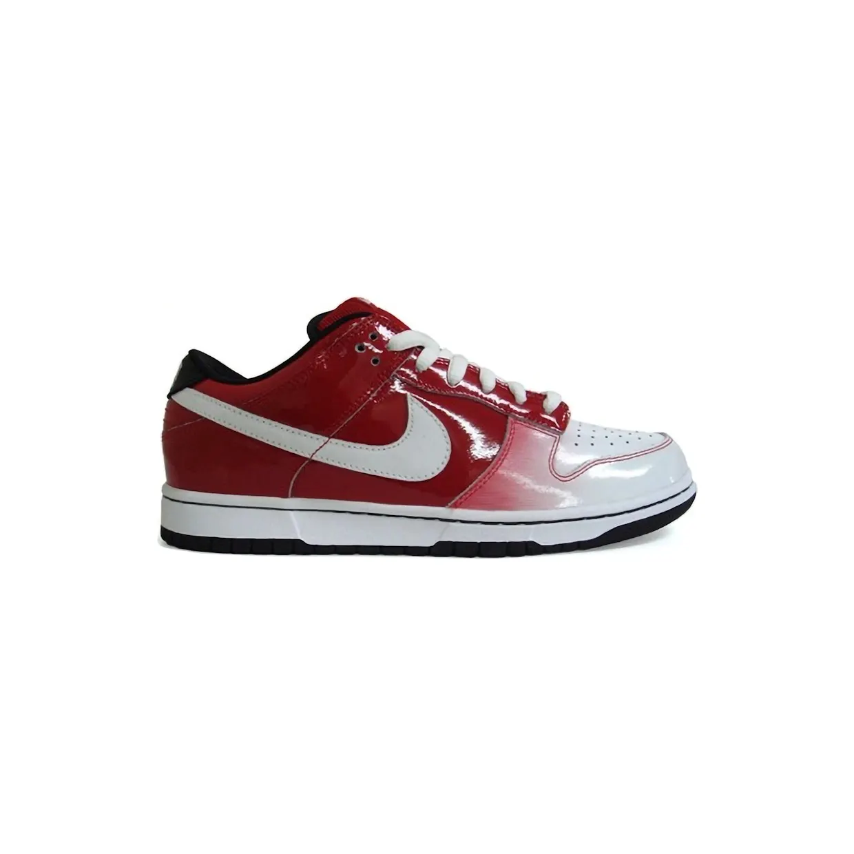 nike-dunk-sb 313170-611